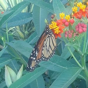 Meet your Posher, Beth_356